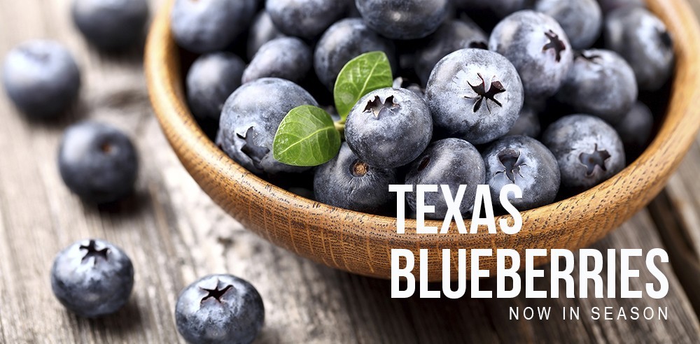 Local Texas Blueberries are in Season!