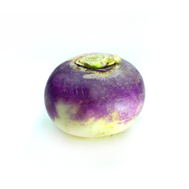 Turnip