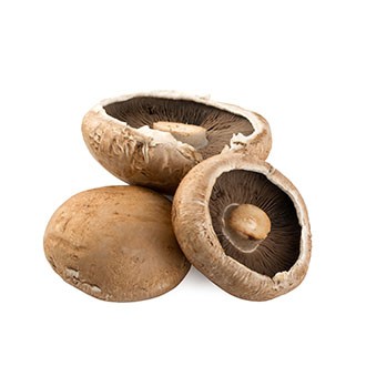 Portobello Mushroom