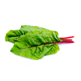 Red Chard