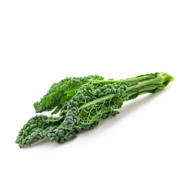 Lacinato Kale