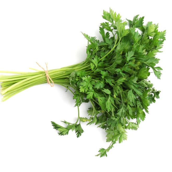 Italian Flat Parsley