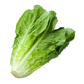 Romaine Lettuce