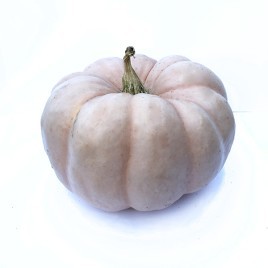 Pink Pumpkin