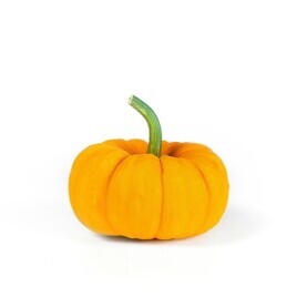 Mini Orange Pumpkins