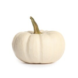 Mini White Pumpkin