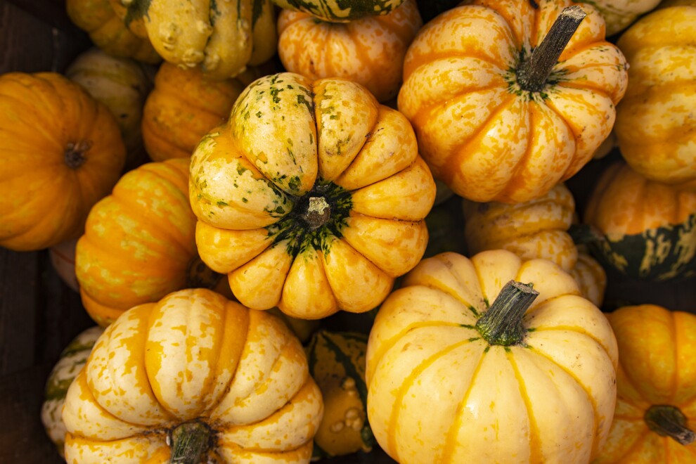 Tiger Stripe Pumpkins