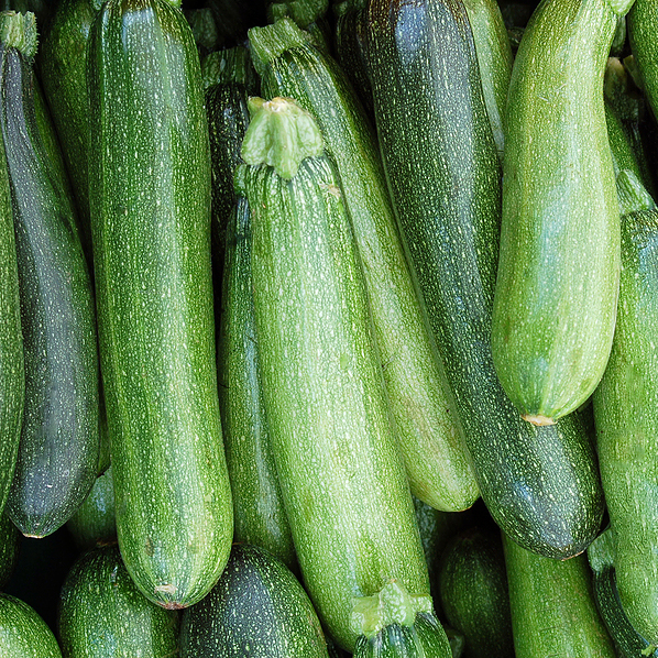 Zucchini Squash